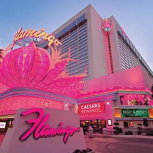 Курортный комплекс Flamingo Vegas & Casino Лас-Вегас